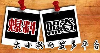 仁德最新爆料新闻,揭秘行业黑幕，真相令人震惊！